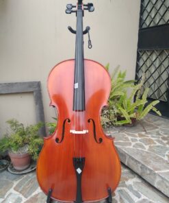 Cello 4/4 Modelo C GILPAS LEON