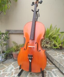 Cello 4/4 Modelo B GILPAS LEON