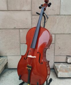 Cello 4/4 Modelo A GILPAS LEON